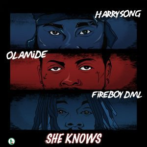 Harrysong – She Knows ft Fireboy DML & Olamide