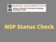 NSP Status Check