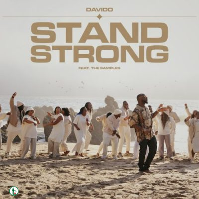 Davido – Stand Strong Instrumental ft. The Samples