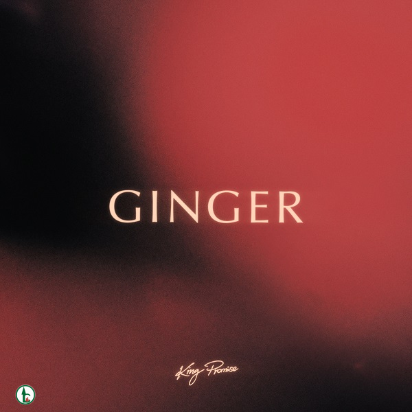 FULL SONG: King Promise – Ginger