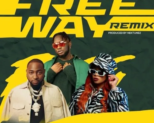 Tripsy, Lady Du & Davido – Freeway (Remix) ft. DJ Pee Raven